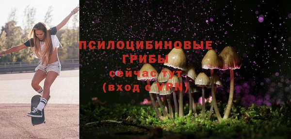 PSILOCYBIN Белоозёрский