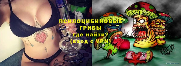 PSILOCYBIN Белоозёрский